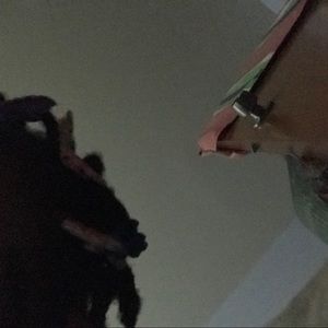 Meet your Posher, Bernice